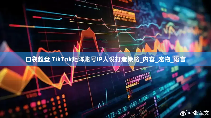 口袋超盘 TikTok矩阵账号IP人设打造策略_内容_宠物_语言