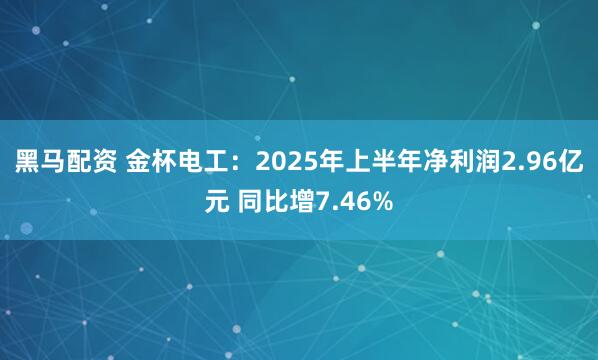 黑马配资 金杯电工：2025年上半年净利润2.96亿元 同比增7.46%