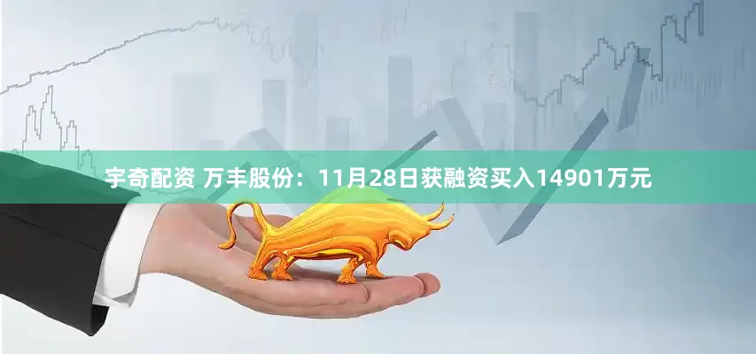 宇奇配资 万丰股份：11月28日获融资买入14901万元